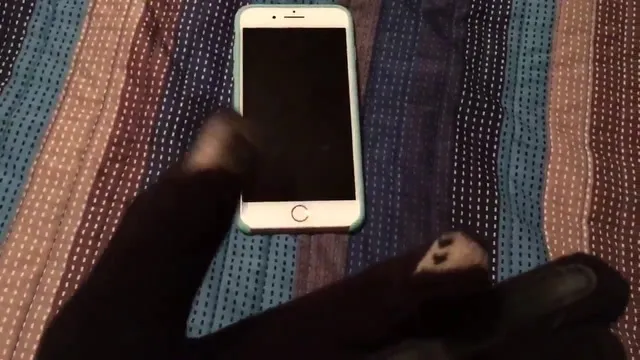 iPhone 7 - Tasto Home Capacitivo