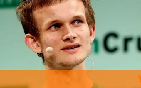 Vitalik Buterin ha donato 532.000 dollari in 