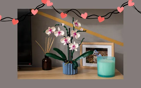 Idea regalo per San Valentino: Pianta di orchidea LEGO a prezzo mini su Amazon