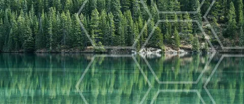 AI for Earth, intelligenza artificiale sostenibile