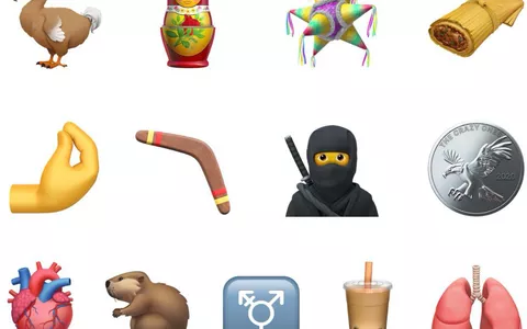 iOS 14.2: nuovi Emoji Ninja, Dodo, gesto italiano e altri