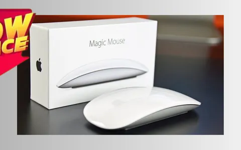 Apple Magic Mouse: il top di gamma dei mouse in offerta straordinaria